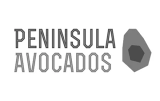 Mornington Peninsula avocados logo graphic design